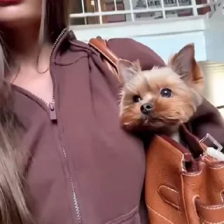🌟