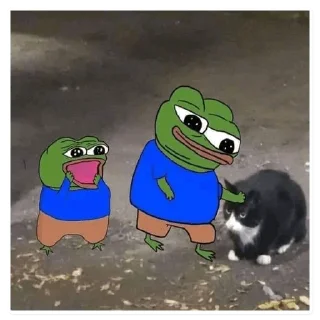 🐈‍⬛
