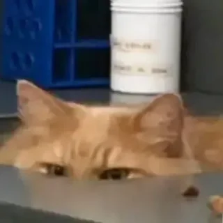 🤫
