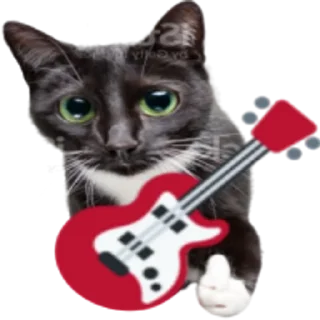 🎸