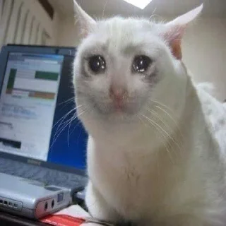 😢