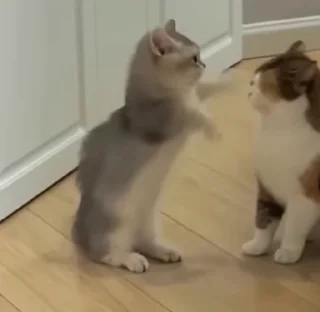 🤗