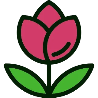 🌹