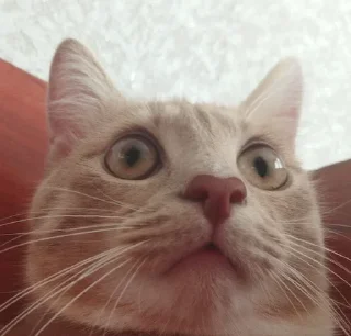 😳
