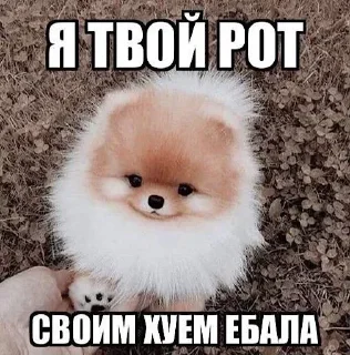 😡