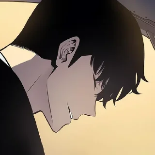 ✨