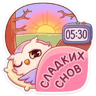 😴