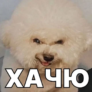 😈