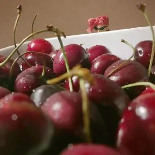 🍒