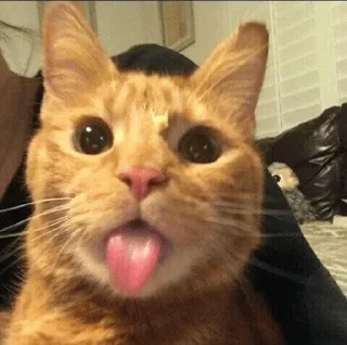 😛