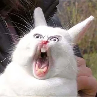 😱