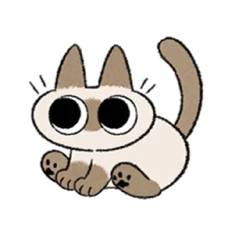 😺