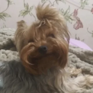 😁