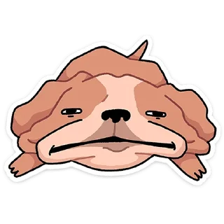⭐