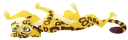 🐯