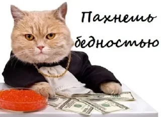 💵