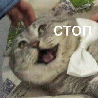 😠