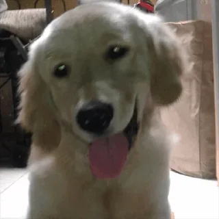 😧