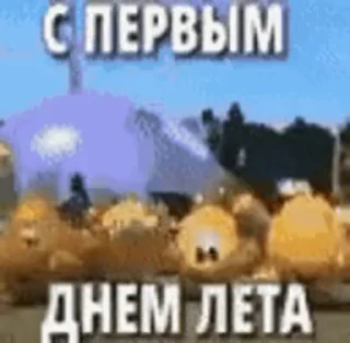 🎉