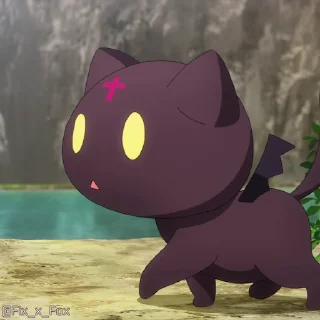 🐱
