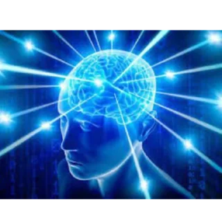 🧠