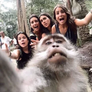 🐒