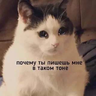🥲