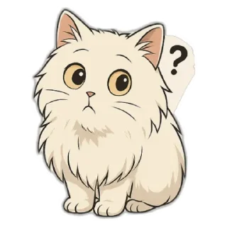 😽