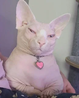 🤨