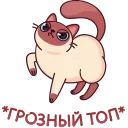 Котик Веня от @TgSticker