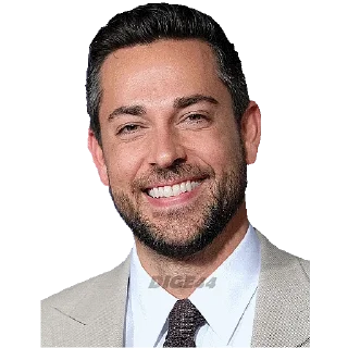 @STIKERFORALL ZACHARY LEVI