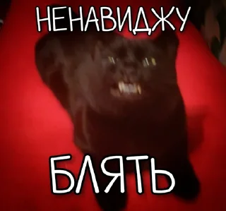 👿