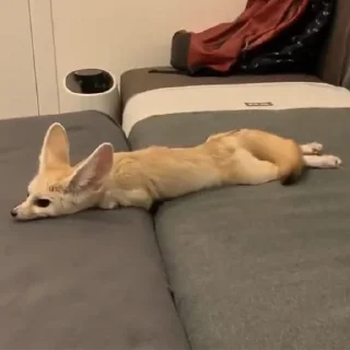 😑