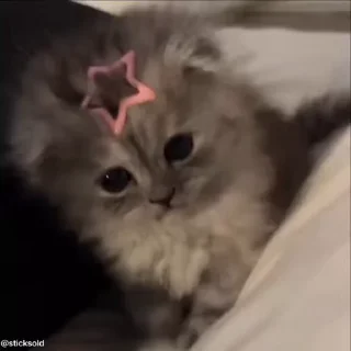 😍