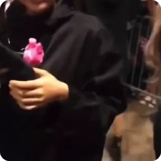 🚩
