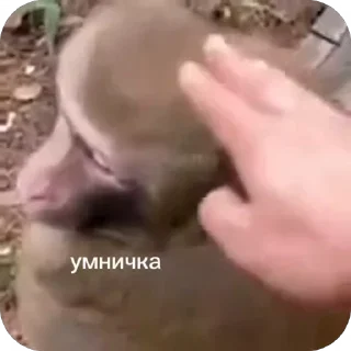 🥰