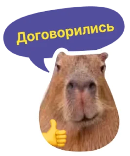 👍