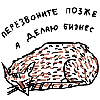 😴