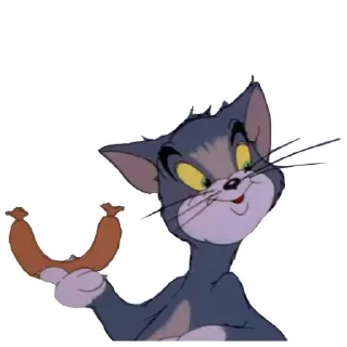 ✋️