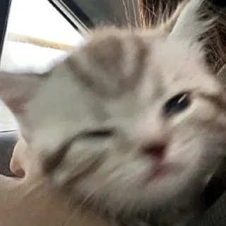 😉