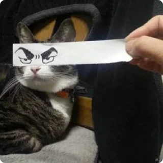 😠