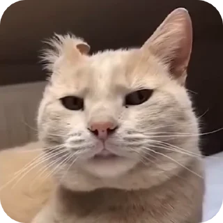 😏