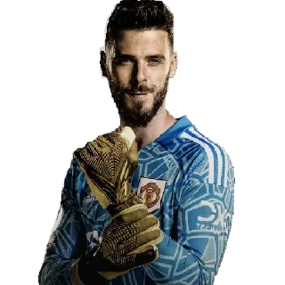 🧤
