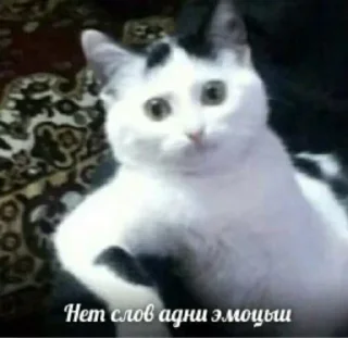 😳
