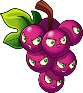 🍇