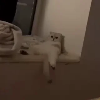 😛