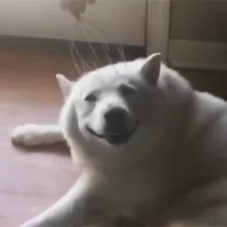 😏