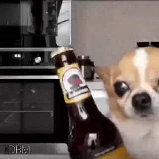 🍻
