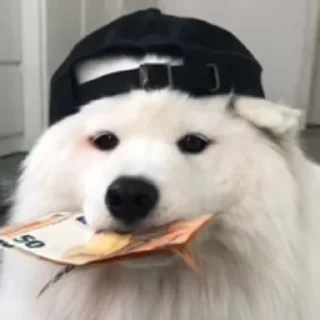 🤑