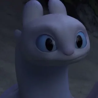 🫧